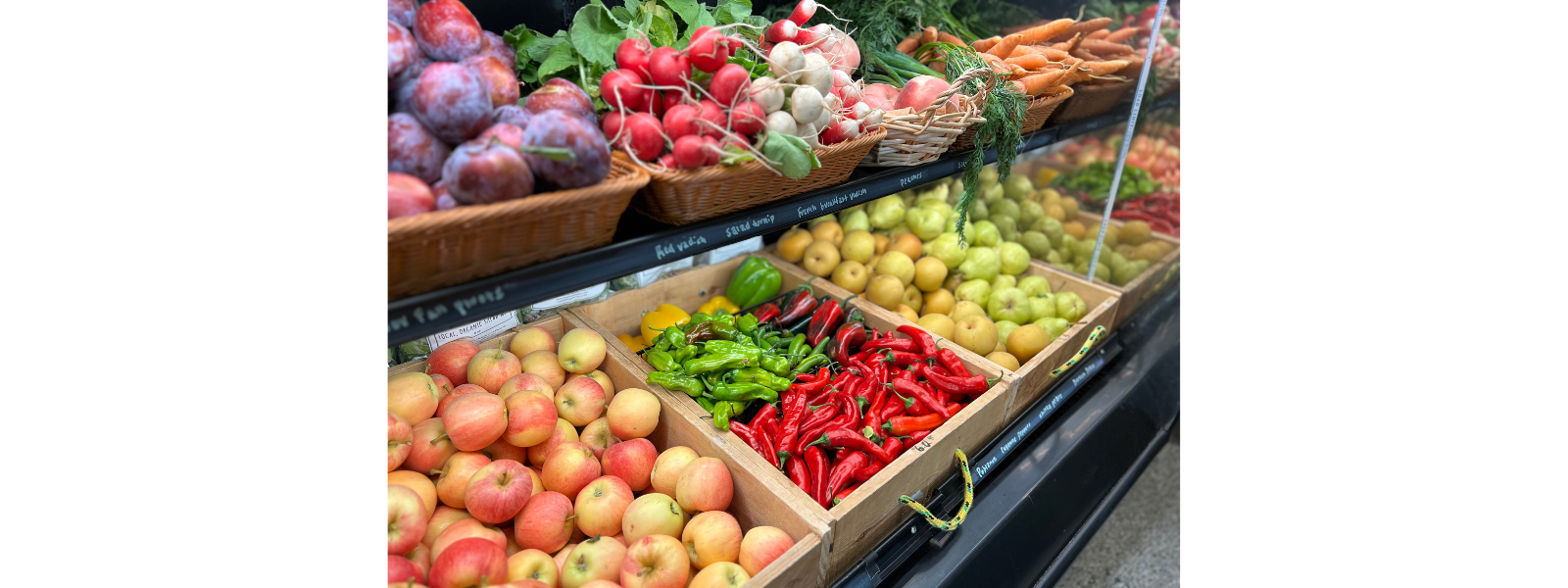 The Grocery Loop: Truckee's Best Markets for Every Shopper