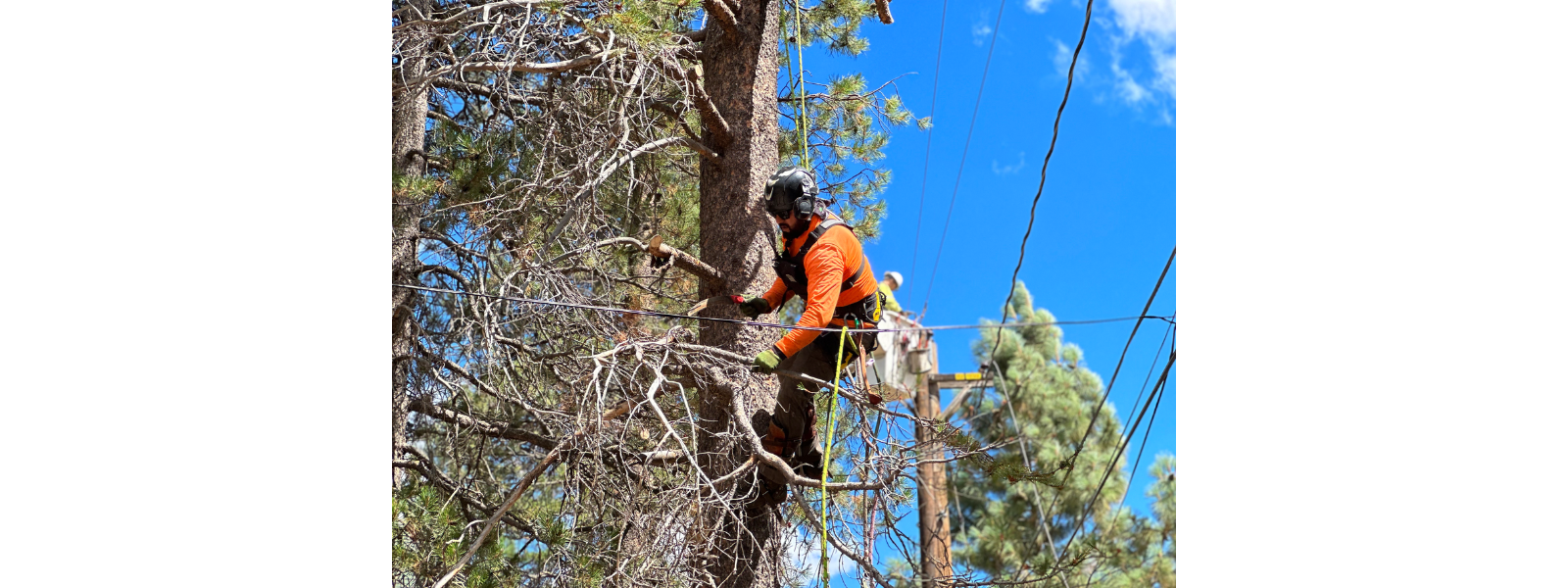 TDPUD Safety Message: Prepare for Wildfire Season Power Outages 