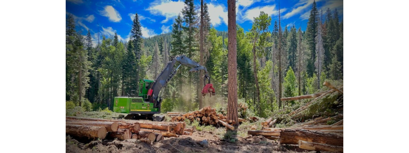 Glenshire to Hirschdale Egress Fuel Reduction Project Begins